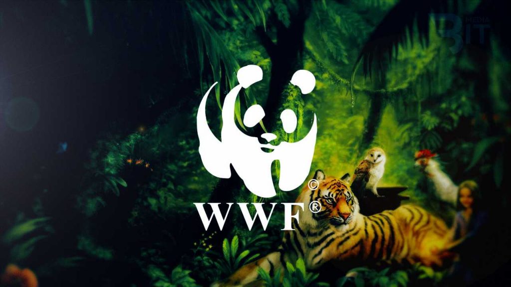 WWF использует блокчейн для борьбы с браконьерством
