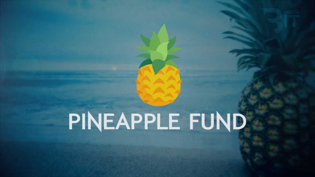 Pineapple Fund завершил свою миссию