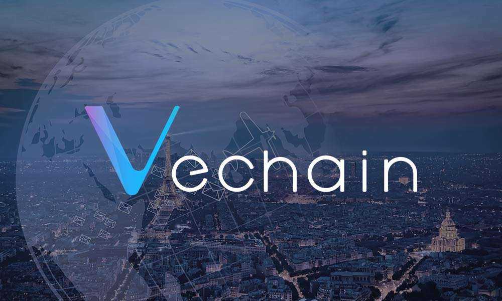 VeChain: борьба с контрафактным вином с помощью блокчейна
