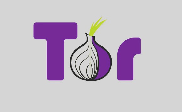Tor Digital Privacy Project принимает пожертвования в криптовалюте